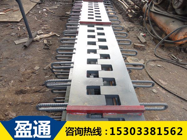 梳齒板橋梁伸縮縫一般分布在大跨橋梁的兩端